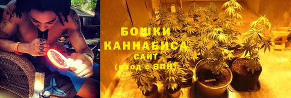 винт Абаза