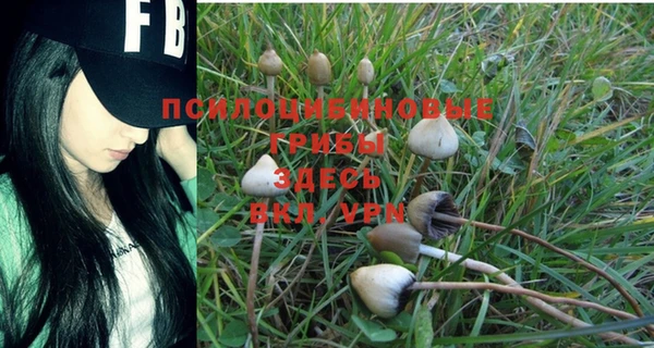 дмт Алзамай