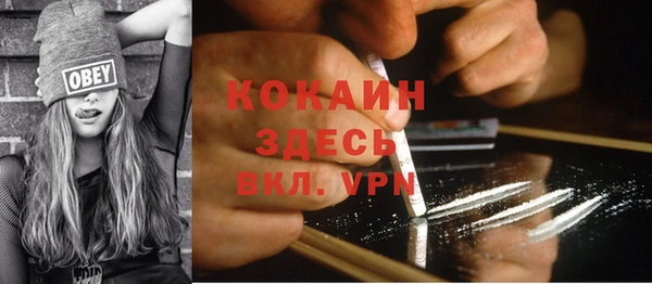 винт Абаза